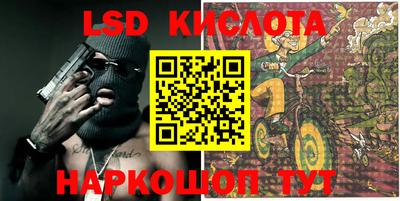 крисы Вышний Волочёк