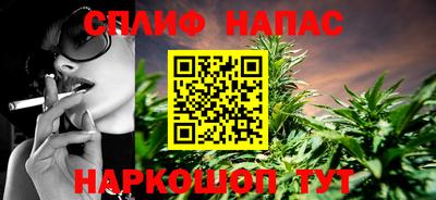 прущие грибы Владивосток