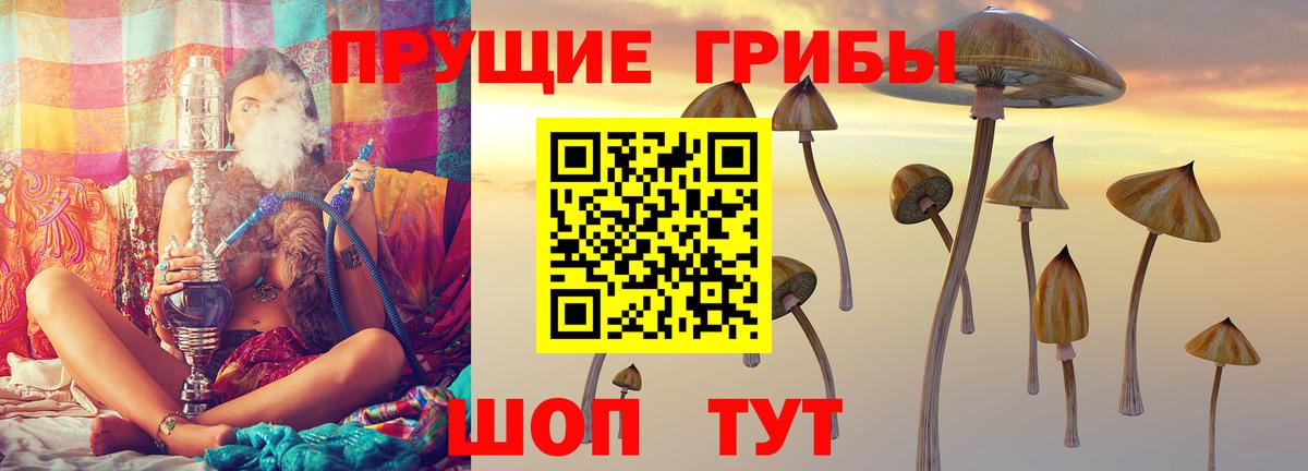 Ахтубинск  где купить наркоту  Вход с VPN  Галлюциногенные грибы ЛСД 