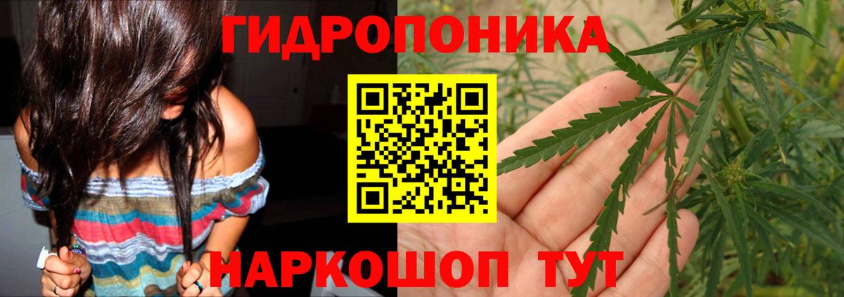 Конопля гибрид Ахтубинск